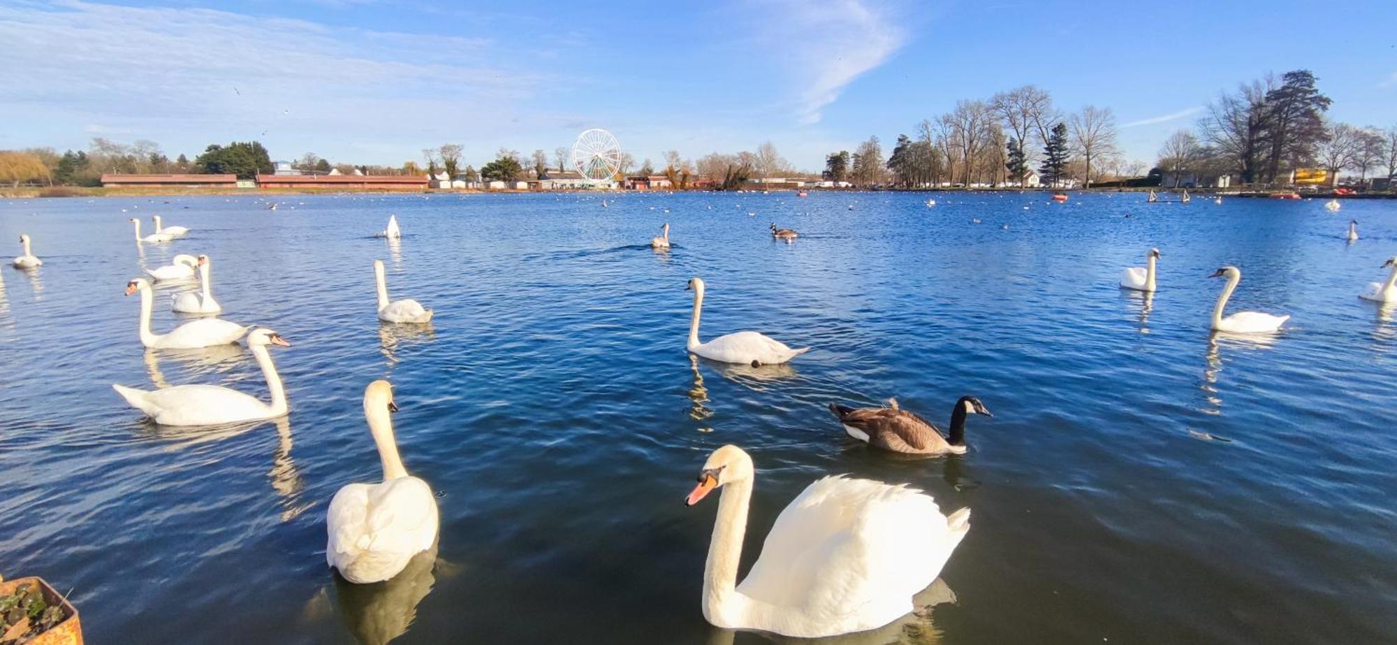 Billing Aquadrome Northampton, Kingfisher Meadow 12 * Northampton